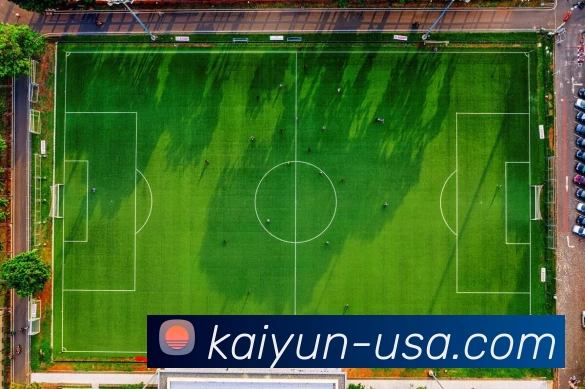 kaiyunAPP 封面图